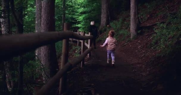 Enfants Excités Amuser Marcher Sur Sentier Forestier Randonnée Dans Les — Video
