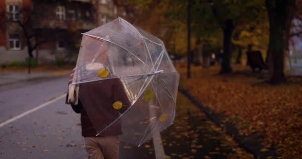 雨の日に傘を持って秋の街を歩く可愛い子供のリアビュー — ストック動画