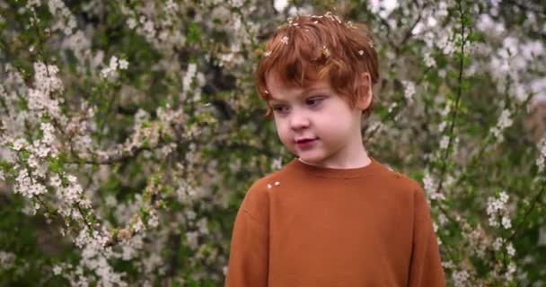 赤い頭の男の子 花でいっぱいの頭を持つ庭を走っている子供 — ストック動画