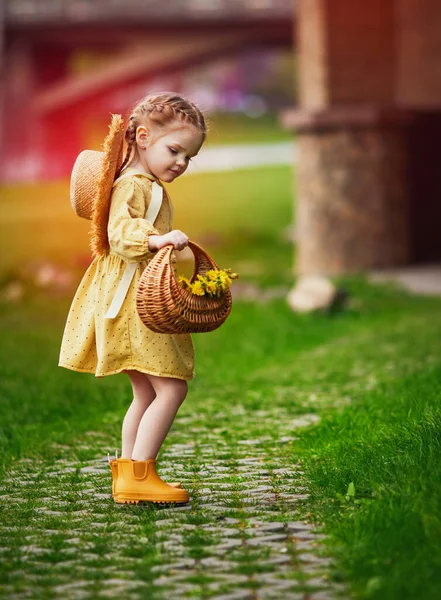 Cute Baby Girl Collecting Dandelions Basket Walking Spring Countryside — Stockfoto