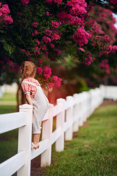 Redhead Baby Girl Fence Enjoys Blooming Branches Crape Myrtle Trees Imagens De Bancos De Imagens Sem Royalties