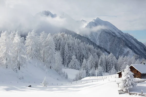 Zima w górach. Niesamowita zimowa sceneria z dużą ilością śniegu — Zdjęcie stockowe