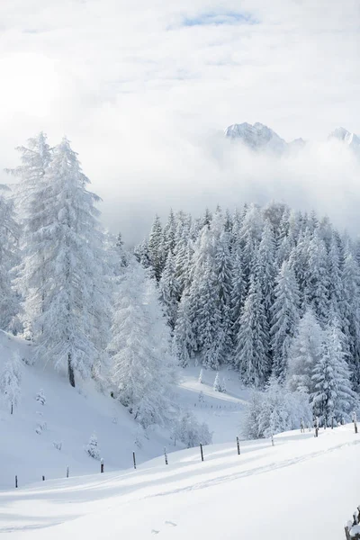 Paesaggio montano nelle Alpi austriache — Foto Stock
