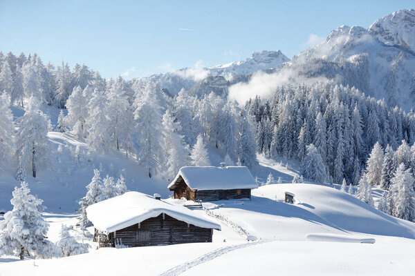 Winter scene with traditional alpine chalet and snowy forest. Sunny frosty weather with a blue sky