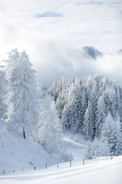 Winter in den Bergen. Eine traumhafte Winterlandschaft mit viel Schnee — Stockfoto
