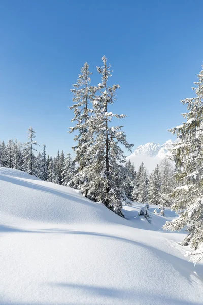 Tél az Alpokban. Természetvédelmi háttér — Stock Fotó