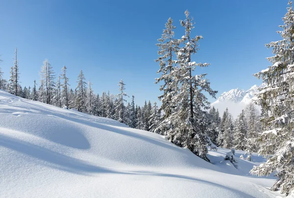 Inverno nas montanhas. Cenário de inverno com muita neve — Fotografia de Stock