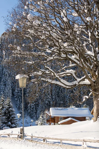 Österrikisk landsbygd med mycket snö — Stockfoto