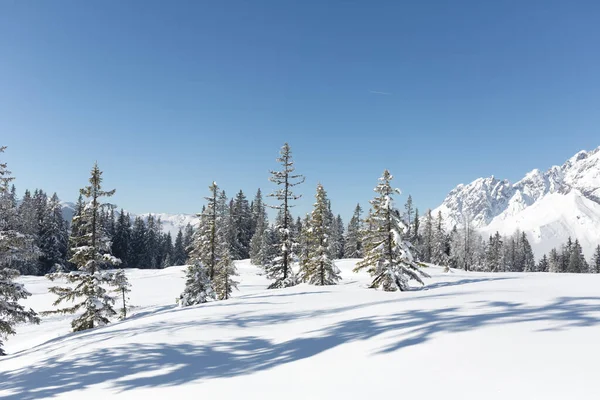 Paisagem de inverno pitoresca. Alpes austríacos — Fotografia de Stock