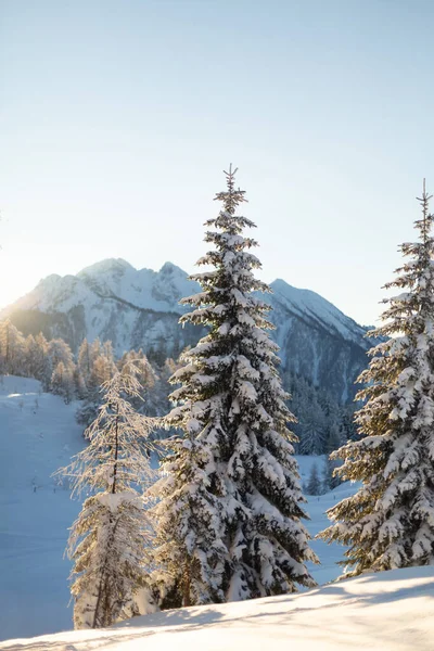 Bellissimo paesaggio invernale. Campagna austriaca con molta neve fresca al tramonto — Foto Stock