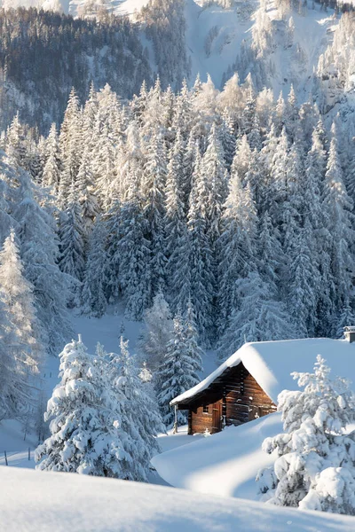 눈덮인 숲 과 전통적 인 고산 오두막 이 있는 겨울 산 풍경. 겨울 휴가 개념 — 스톡 사진