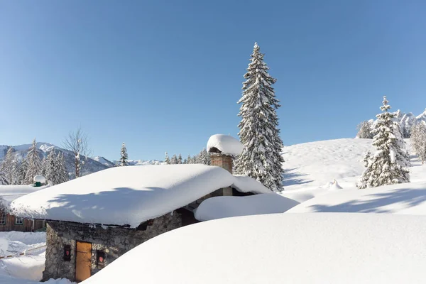 Paesaggio montano invernale con pini innevati e chalet alpino tradizionale — Foto Stock
