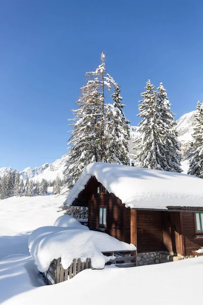 Vinterunderlandet. pittoreska vinterscenen med traditionell alpin stuga och snöig skog — Stockfoto