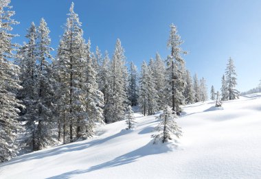 Güzel dağ manzarası. Kışın Avusturya kırsalında