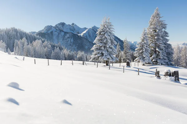 Paesaggio forestale invernale. Tempo soleggiato e gelido. Alpi austriache — Foto Stock