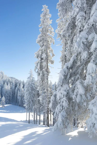 Gyönyörű téli táj. Osztrák vidék sok friss hóval — Stock Fotó