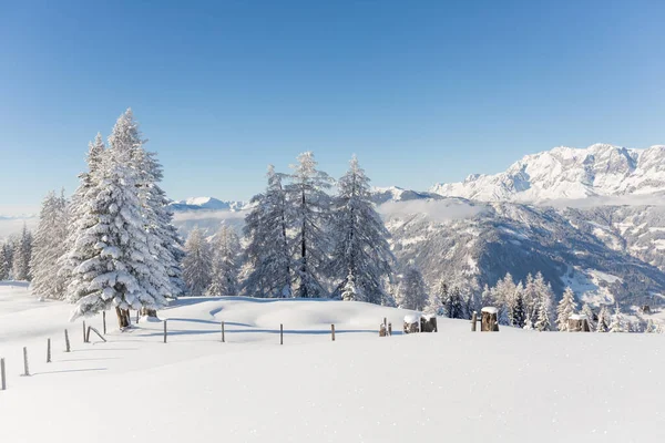 Cena de inverno pitoresca com muita neve fresca. ALPs austríacos — Fotografia de Stock
