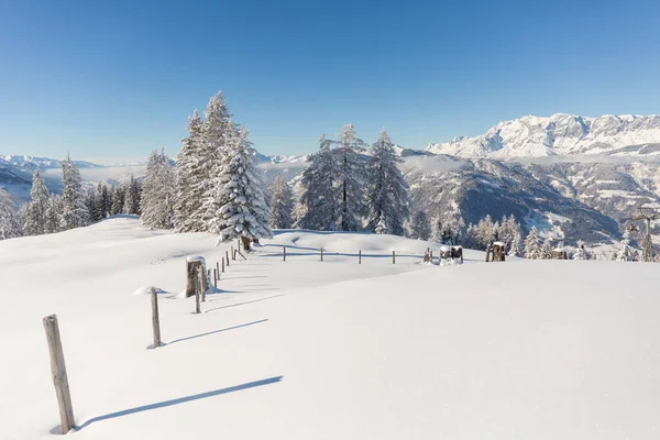 Campagna austriaca con molta neve fresca. Sfondo foresta invernale — Foto Stock