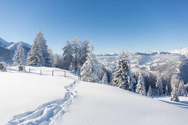 País das maravilhas do inverno nos Alpes Austríacos. Trilhas de neve para a floresta nevada — Fotografia de Stock