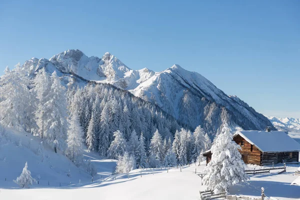 Winter Mountains Amazing Winter Scenery Lot Snow High