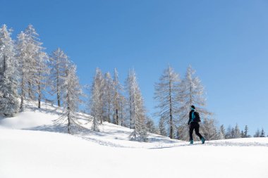 Dağlarda kayak turuna çıkan bir kadın. Kış sporları