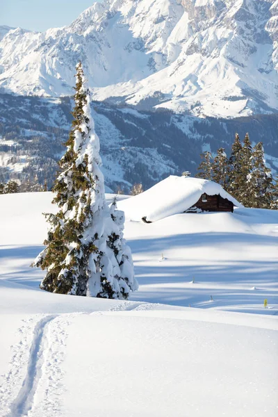 オーストリアアルプスの冬の不思議の国。雪は古い高山の小屋に追跡します。選択的焦点 — ストック写真