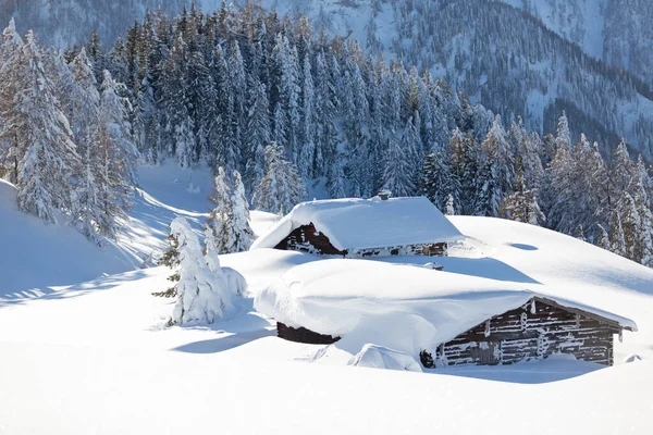 Vinternatur landskap med snötäckta granar och traditionell alpin stuga i bergen. Österrikiska alperna — Stockfoto