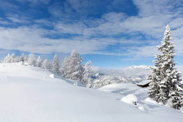 Verschneite Naturlandschaft. Winter in den österreichischen Alpen — Stockfoto