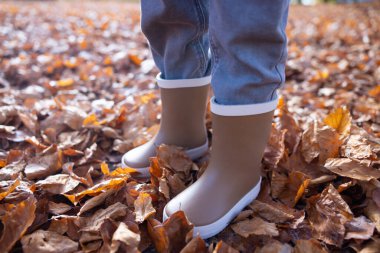 Kahverengi lastik çizmeli çocuk altın yapraklarla dolu bir ormanda kalıyor. Sonbahar arkaplanı. Yüksek kalite fotoğraf