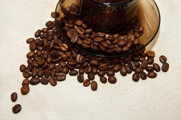 Кофейные зерна за чашкой кофе — стоковое фото