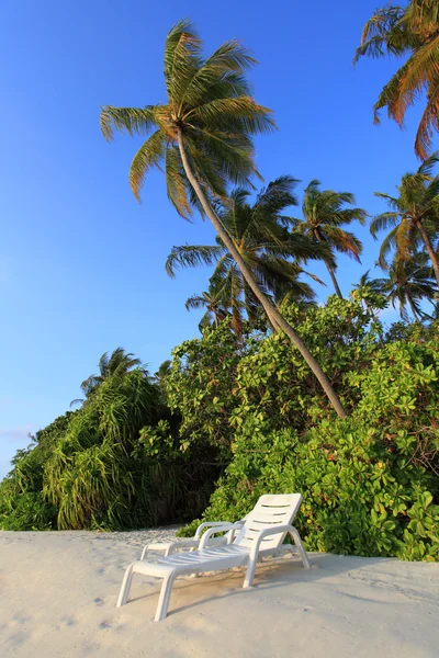 Maldivische eiland — Stockfoto