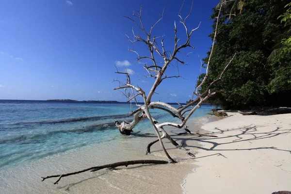 Ilha tropical — Fotografia de Stock