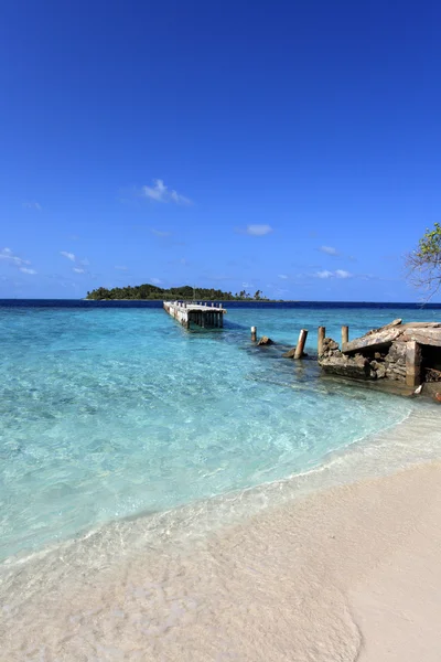 Maldivian island — Stock Photo, Image