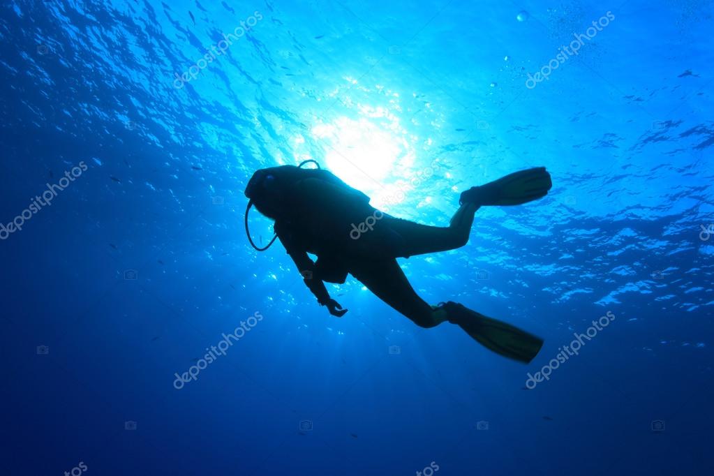 Scuba Diving Stock Photo By C Aquanaut Scuba Diving Stock Photo By C Aquanaut