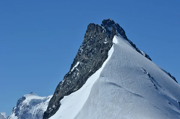 Rimpfischhorn — Stok fotoğraf