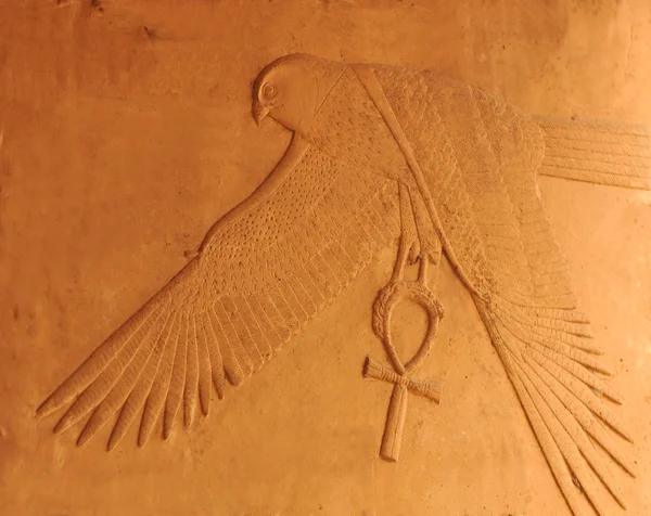 Horus le faucon — Photo