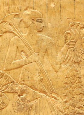 ördekler ile çiftçi