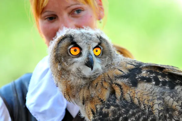 Owl and lady trainer — Stock Photo, Image