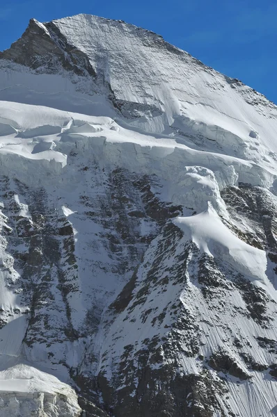 Toppmötet buckla d — Stockfoto