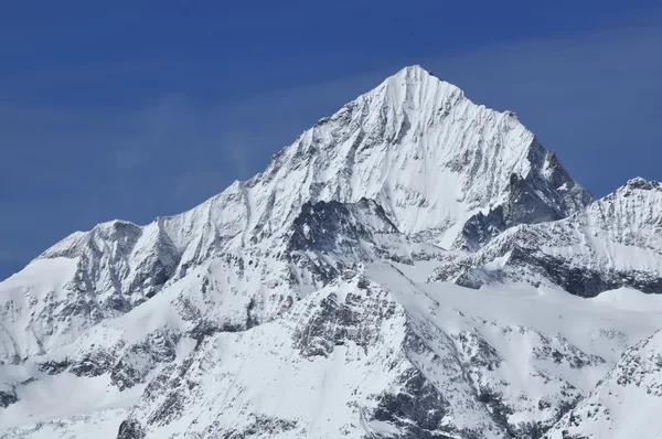 De dent blanche — Stockfoto