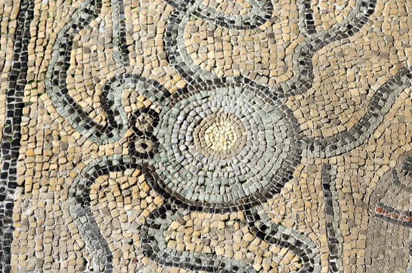 Mosaico romano de un pulpo — Foto de Stock