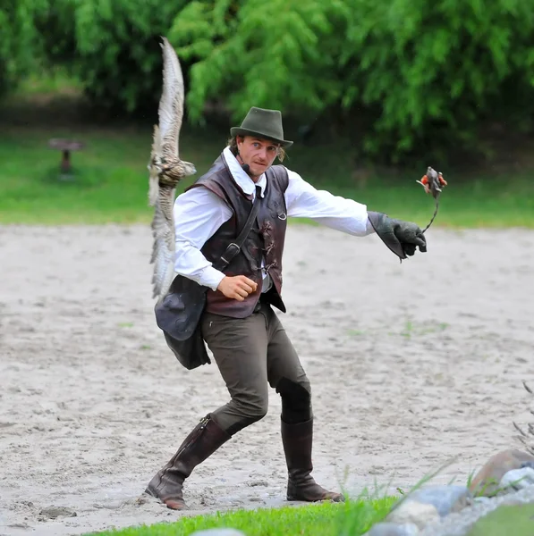 Falconry — Stock Photo, Image