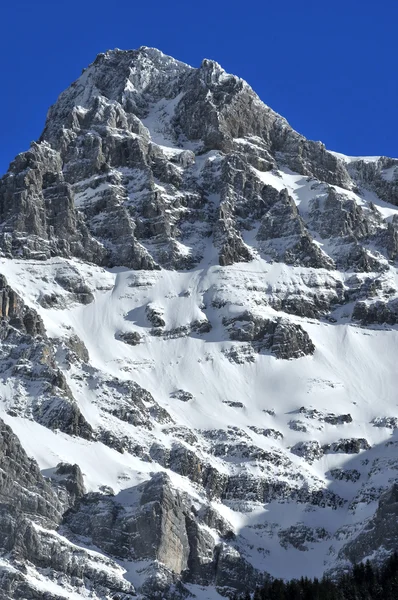 Alpes suizos — Foto de Stock