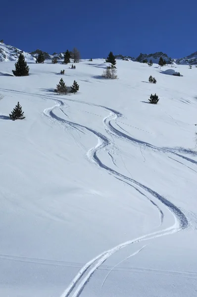 Pistes in poedersneeuw — Stockfoto