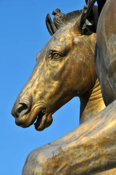 Horses Head — Stock Photo, Image