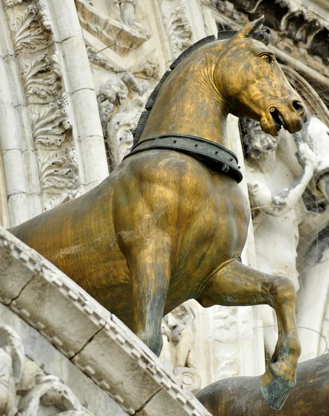 Cavalos de bronze antigos — Fotografia de Stock