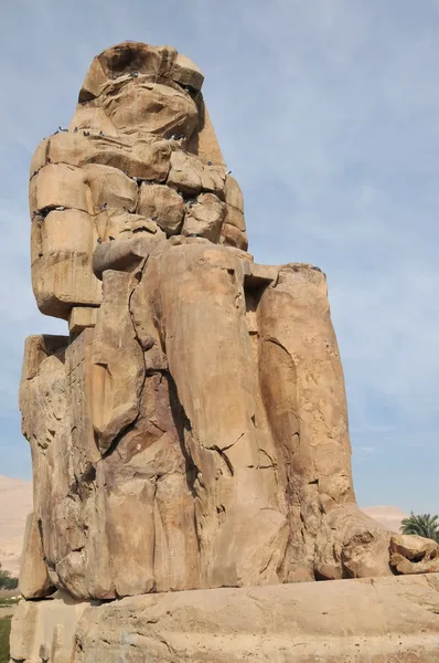 Colosso de memnon — Fotografia de Stock