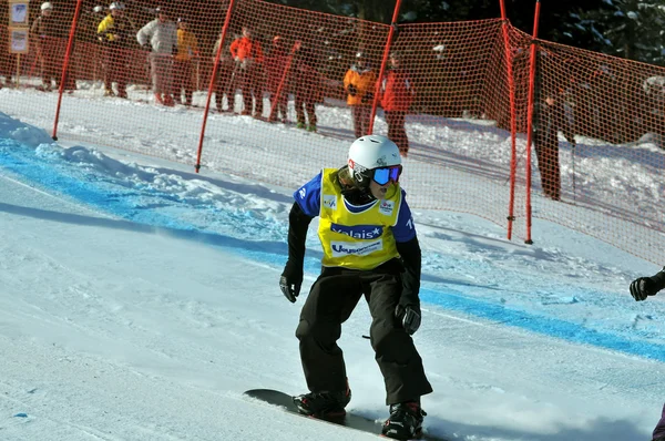 交叉 2010年世界杯滑雪板： loccoz moenne — 图库照片