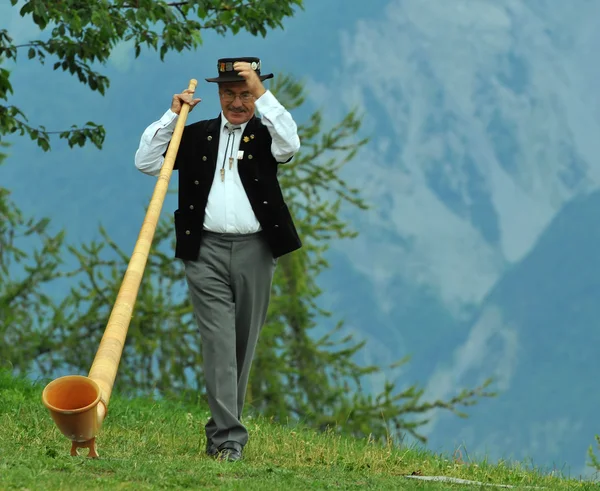 Alpenhörner — Stockfoto