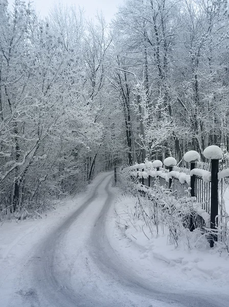 Drumul de iarnă 3 — Fotografie, imagine de stoc